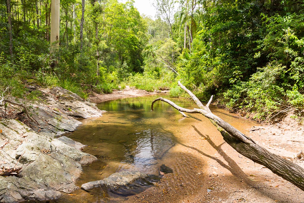 A secret waterhole in D'Aguilar National Park 4WD TRACKS BRISBANE