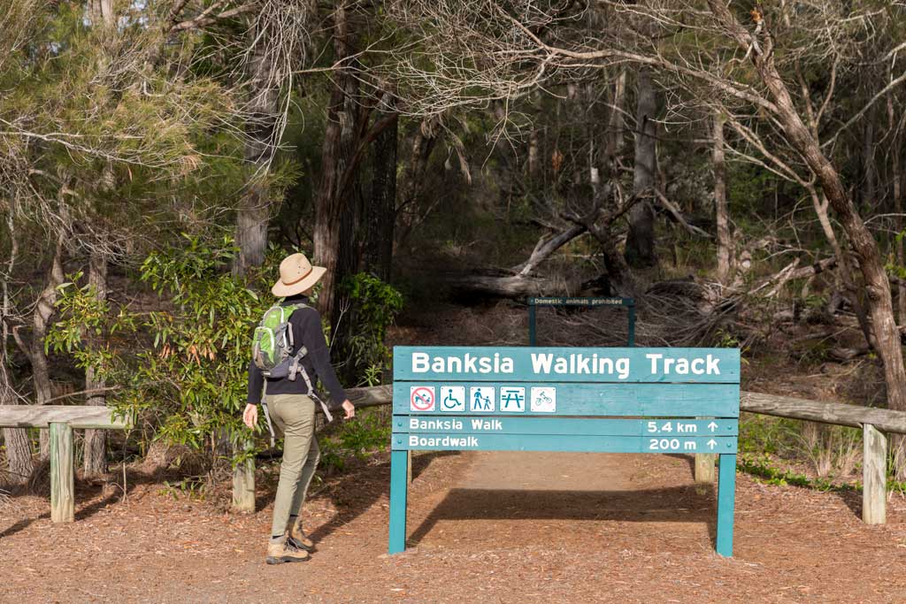 Sign for the start of the Banksia Walking Track, Burrum Coast National Park