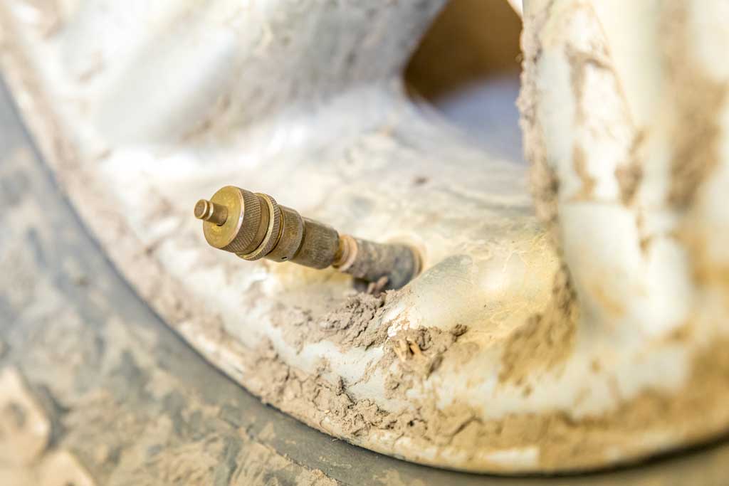 Staun tyre deflator on a valve stem.