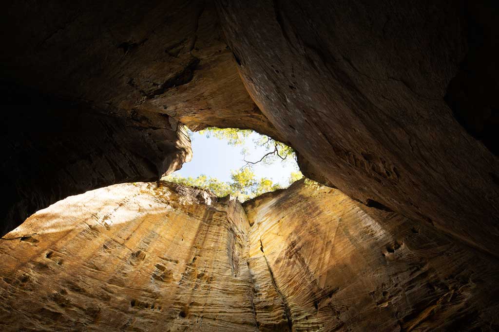 Inside the Amphitheatre looking up to the sky above - Carnarvon Gorge Walking Tracks